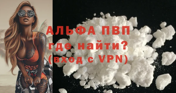стафф Нефтегорск