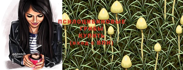стафф Нефтегорск